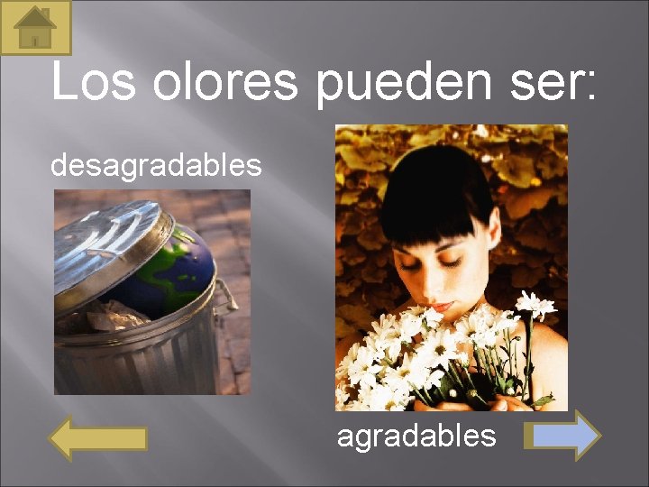 Los olores pueden ser: desagradables 