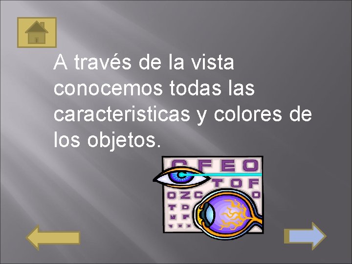 A través de la vista conocemos todas las caracteristicas y colores de los objetos.