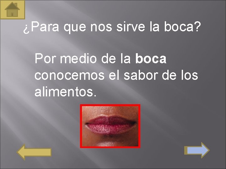 ¿Para que nos sirve la boca? Por medio de la boca conocemos el sabor