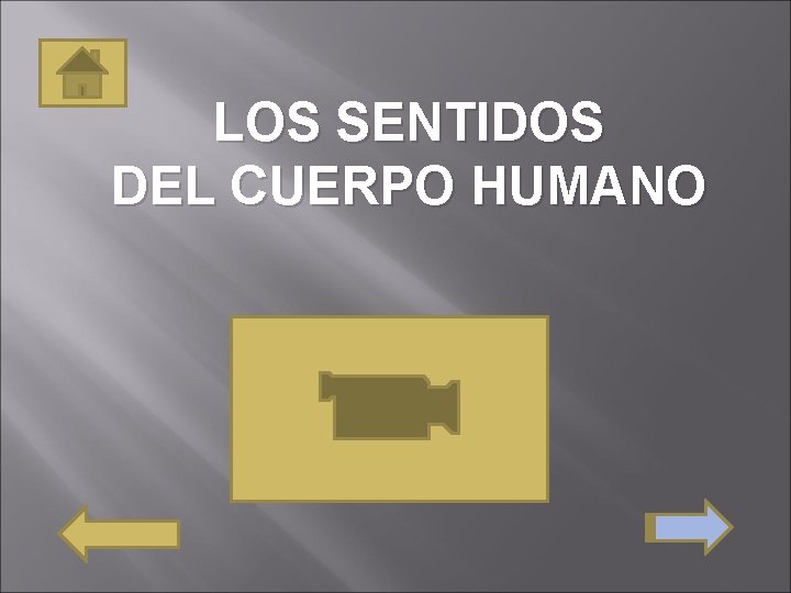 LOS SENTIDOS DEL CUERPO HUMANO 