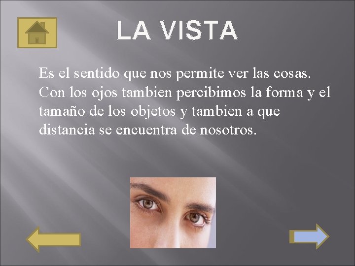 LA VISTA Es el sentido que nos permite ver las cosas. Con los ojos