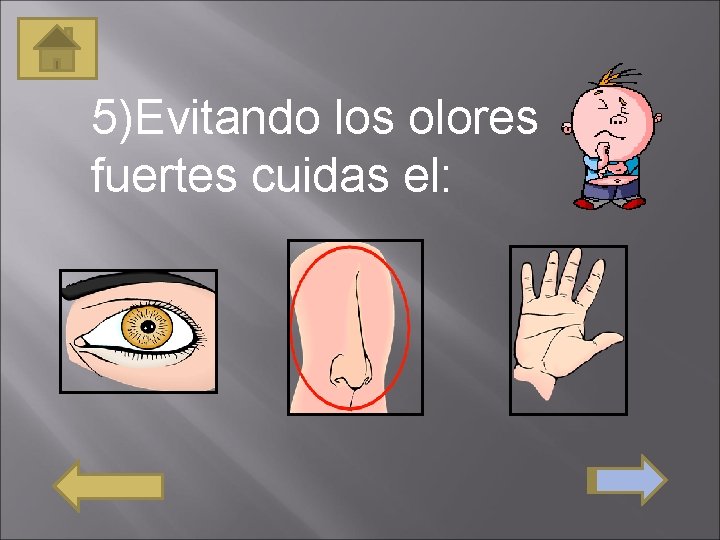 5)Evitando los olores fuertes cuidas el: 