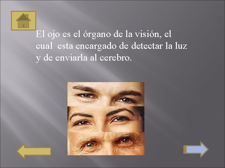 El ojo es el órgano de la visión, el cual esta encargado de detectar