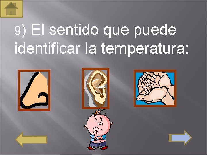 9) El sentido que puede identificar la temperatura: 