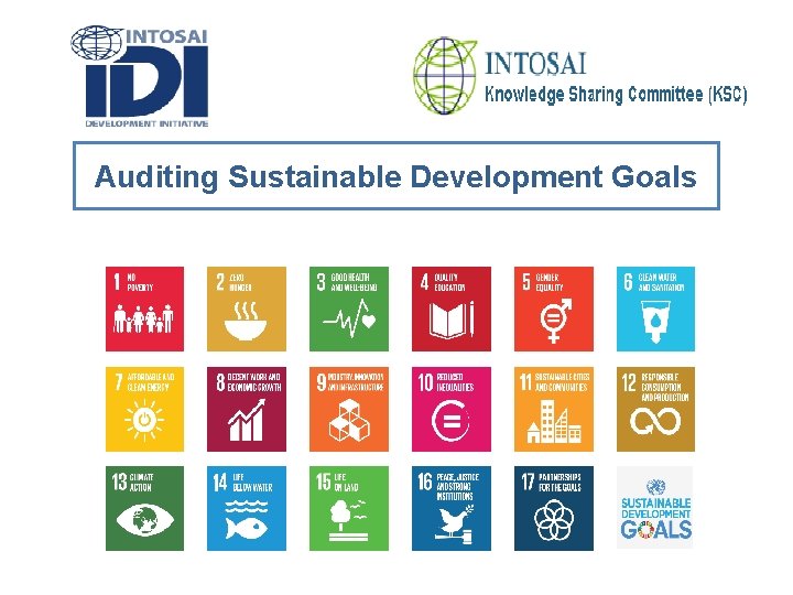 Auditing Sustainable Development Goals 