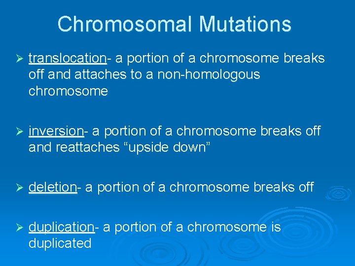 Chromosomal Mutations Ø translocation- a portion of a chromosome breaks off and attaches to