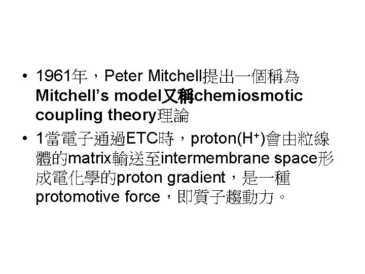  • 1961年，Peter Mitchell提出一個稱為 Mitchell’s model又稱chemiosmotic coupling theory理論 • 1當電子通過ETC時，proton(H+)會由粒線 體的matrix輸送至intermembrane space形 成電化學的proton gradient，是一種