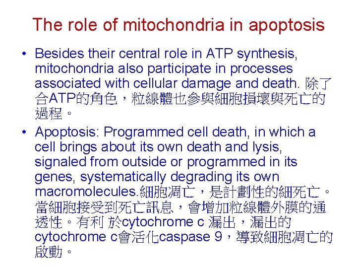 The role of mitochondria in apoptosis • Besides their central role in ATP synthesis,