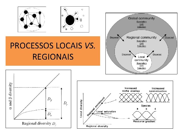 PROCESSOS LOCAIS VS. REGIONAIS 