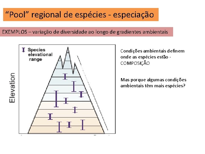 “Pool” regional de espécies - especiação EXEMPLOS – variação de diversidade ao longo de