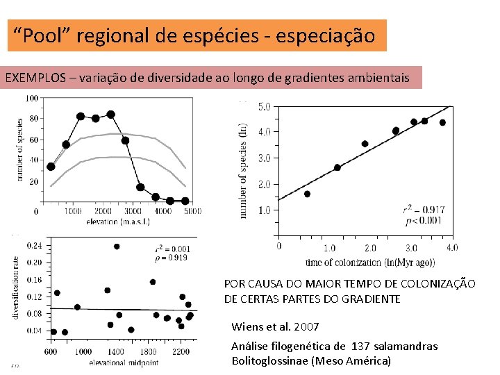 “Pool” regional de espécies - especiação EXEMPLOS – variação de diversidade ao longo de