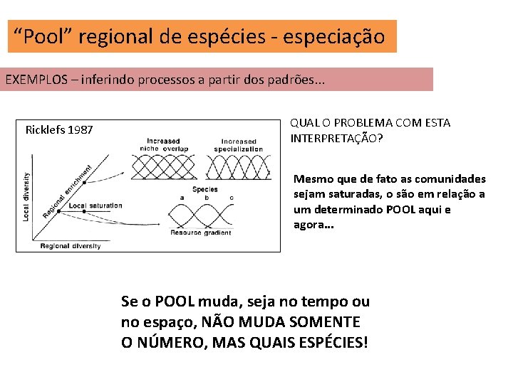 “Pool” regional de espécies - especiação EXEMPLOS – inferindo processos a partir dos padrões.