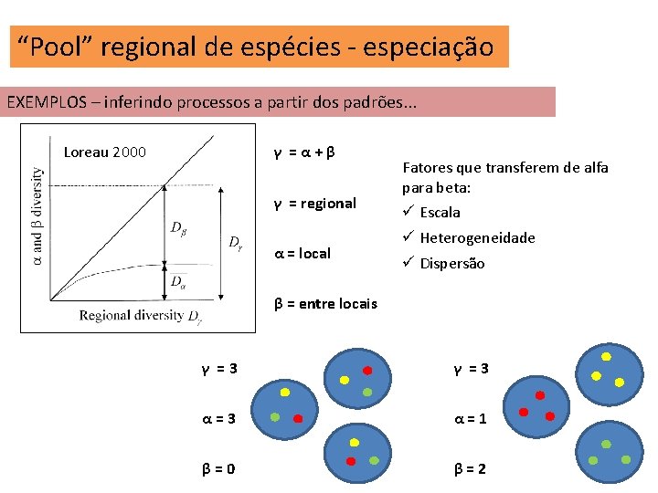 “Pool” regional de espécies - especiação EXEMPLOS – inferindo processos a partir dos padrões.