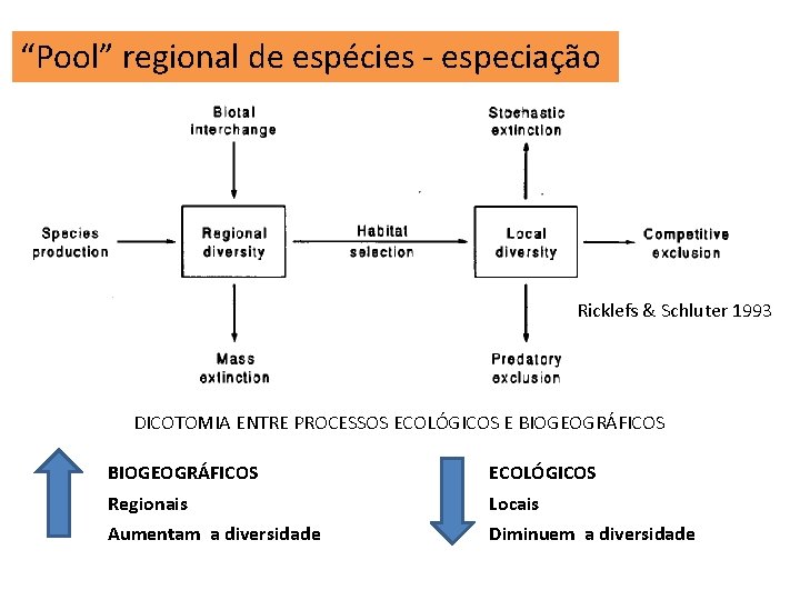 “Pool” regional de espécies - especiação Ricklefs & Schluter 1993 DICOTOMIA ENTRE PROCESSOS ECOLÓGICOS