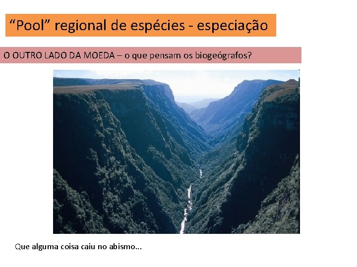 “Pool” regional de espécies - especiação O OUTRO LADO DA MOEDA – o que