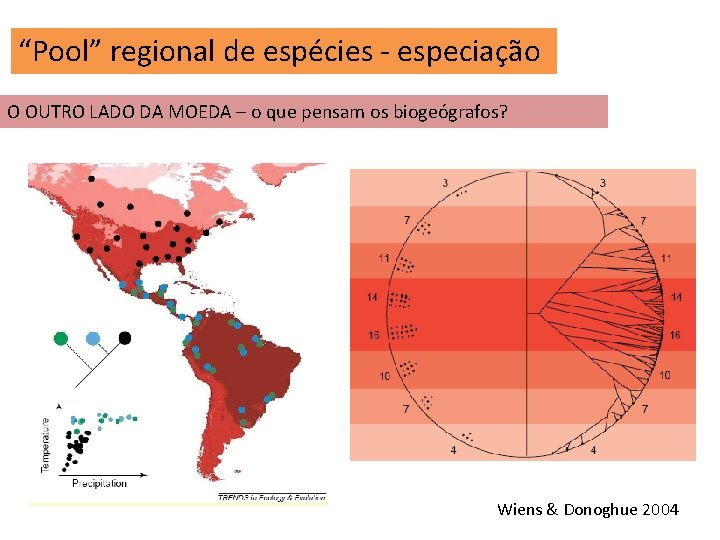 “Pool” regional de espécies - especiação O OUTRO LADO DA MOEDA – o que