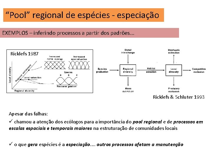 “Pool” regional de espécies - especiação EXEMPLOS – inferindo processos a partir dos padrões.