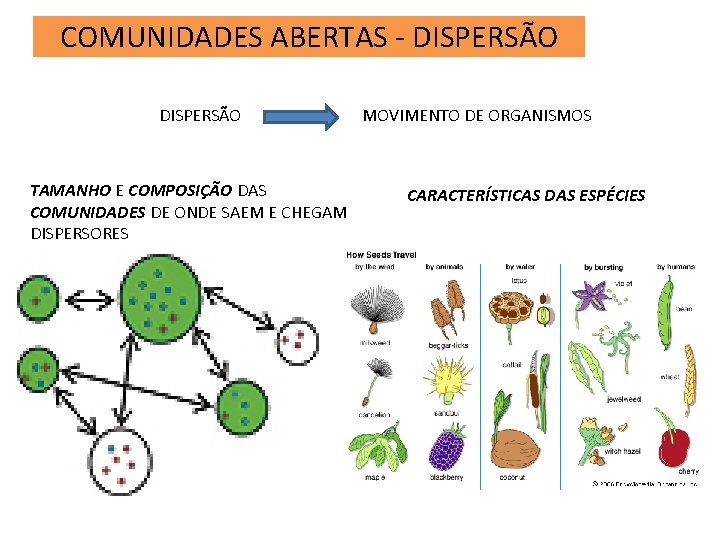 COMUNIDADES ABERTAS - DISPERSÃO TAMANHO E COMPOSIÇÃO DAS COMUNIDADES DE ONDE SAEM E CHEGAM