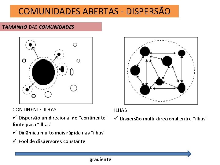 COMUNIDADES ABERTAS - DISPERSÃO TAMANHO DAS COMUNIDADES CONTINENTE-ILHAS ü Dispersão unidirecional do “continente” fonte