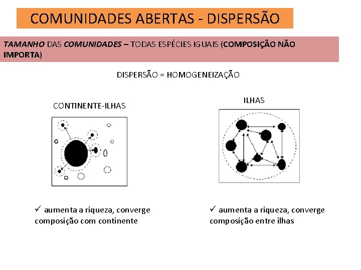 COMUNIDADES ABERTAS - DISPERSÃO TAMANHO DAS COMUNIDADES – TODAS ESPÉCIES IGUAIS (COMPOSIÇÃO NÃO IMPORTA)