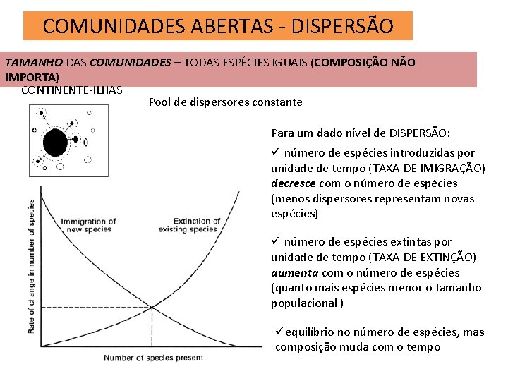 COMUNIDADES ABERTAS - DISPERSÃO TAMANHO DAS COMUNIDADES – TODAS ESPÉCIES IGUAIS (COMPOSIÇÃO NÃO IMPORTA)