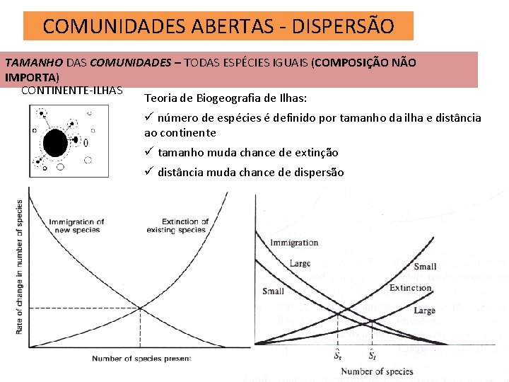 COMUNIDADES ABERTAS - DISPERSÃO TAMANHO DAS COMUNIDADES – TODAS ESPÉCIES IGUAIS (COMPOSIÇÃO NÃO IMPORTA)