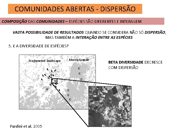 COMUNIDADES ABERTAS - DISPERSÃO COMPOSIÇÃO DAS COMUNIDADES – ESPÉCIES SÃO DIFERENTES E INTERAGEM VASTA