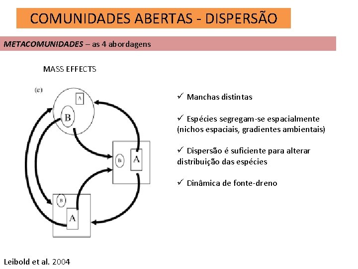 COMUNIDADES ABERTAS - DISPERSÃO METACOMUNIDADES – as 4 abordagens MASS EFFECTS ü Manchas distintas