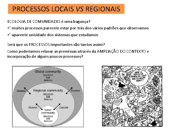 PROCESSOS LOCAIS VS REGIONAIS ECOLOGIA DE COMUNIDADES é uma bagunça? ü muitos processos parecem