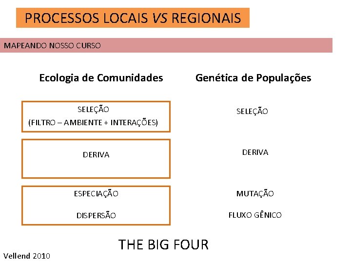 PROCESSOS LOCAIS VS REGIONAIS MAPEANDO NOSSO CURSO Ecologia de Comunidades Genética de Populações SELEÇÃO