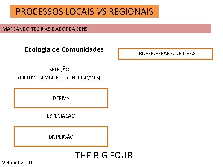 PROCESSOS LOCAIS VS REGIONAIS MAPEANDO TEORIAS E ABORDAGENS Ecologia de Comunidades SELEÇÃO (FILTRO –