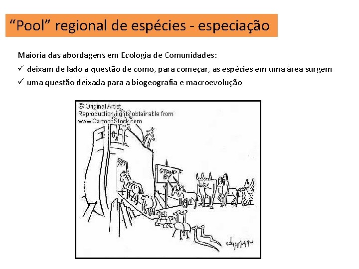 “Pool” regional de espécies - especiação Maioria das abordagens em Ecologia de Comunidades: ü