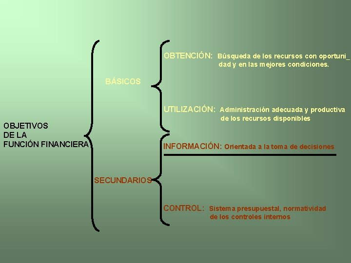 OBTENCIÓN: Búsqueda de los recursos con oportuni_ dad y en las mejores condiciones. BÁSICOS