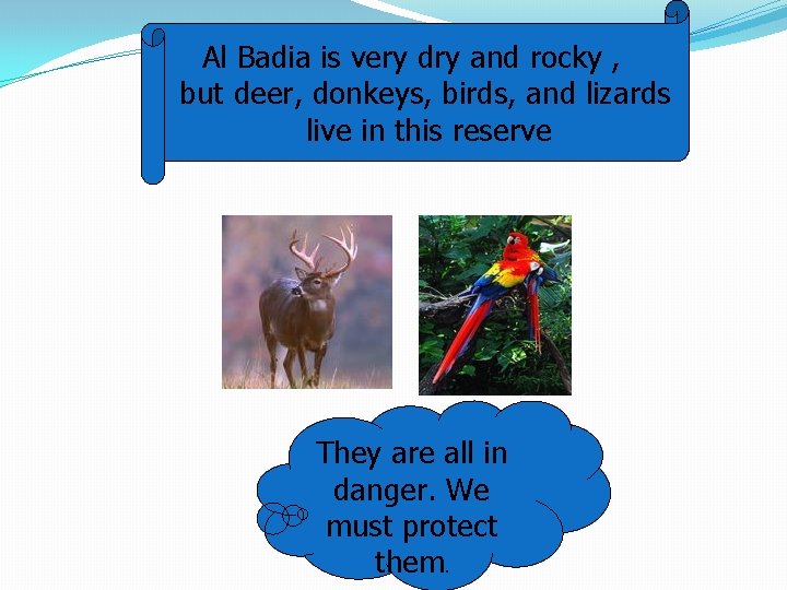 Al Badia is very dry and rocky , but deer, donkeys, birds, and lizards