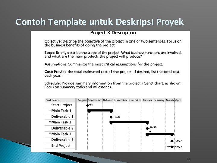 Contoh Template untuk Deskripsi Proyek 30 