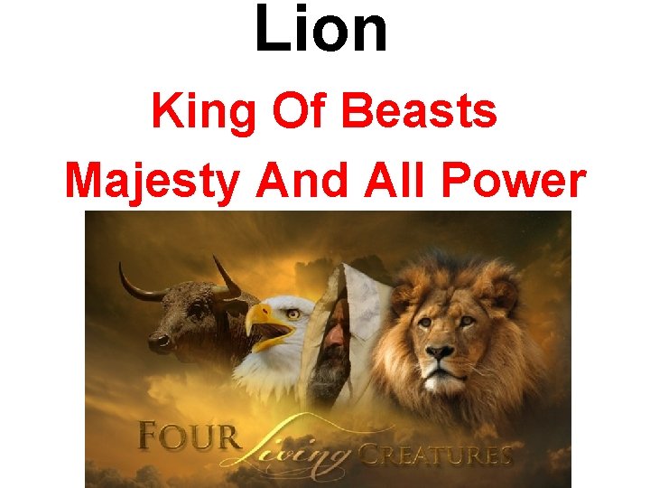 Lion King Of Beasts Majesty And All Power 