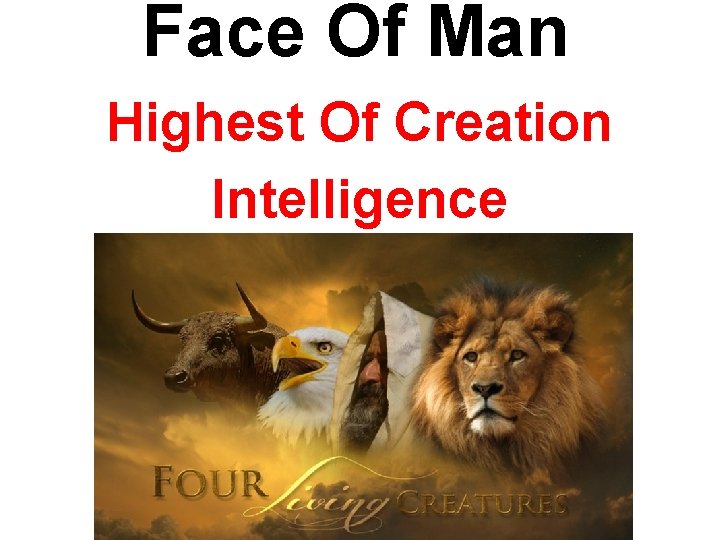 Face Of Man Highest Of Creation Intelligence 