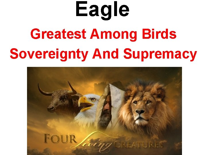 Eagle Greatest Among Birds Sovereignty And Supremacy 