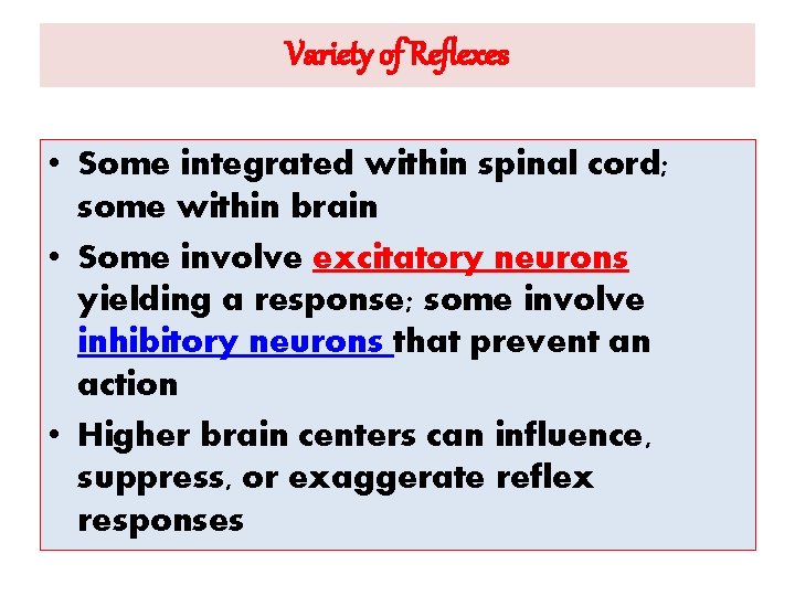 Variety of Reflexes • Some integrated within spinal cord; some within brain • Some
