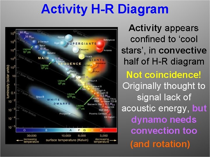 Activity H-R Diagram Activity appears confined to ‘cool stars’, in convective half of H-R