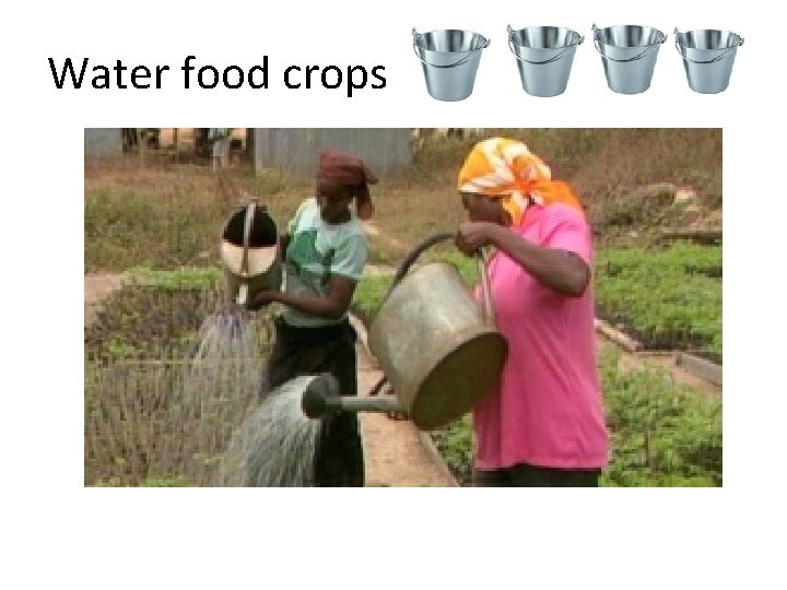Water food crops 
