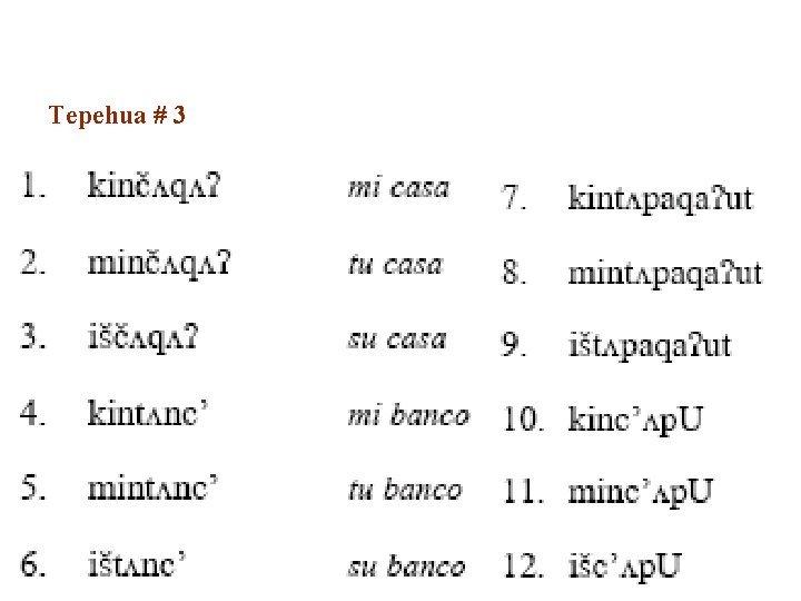 Tepehua # 3 