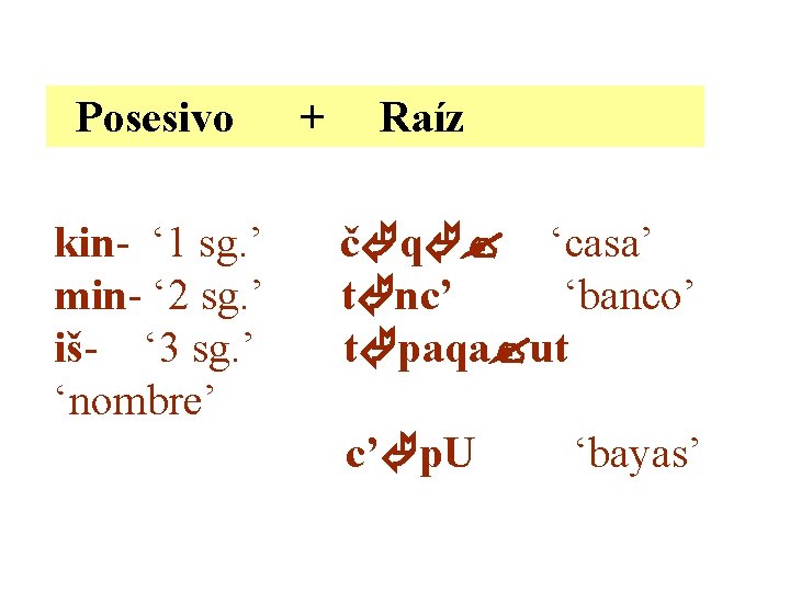 Posesivo kin- ‘ 1 sg. ’ min- ‘ 2 sg. ’ iš- ‘ 3