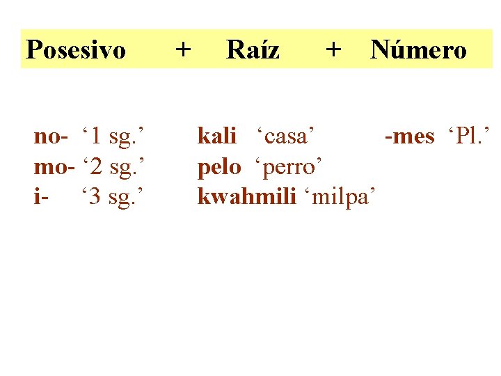 Posesivo no- ‘ 1 sg. ’ mo- ‘ 2 sg. ’ i- ‘ 3