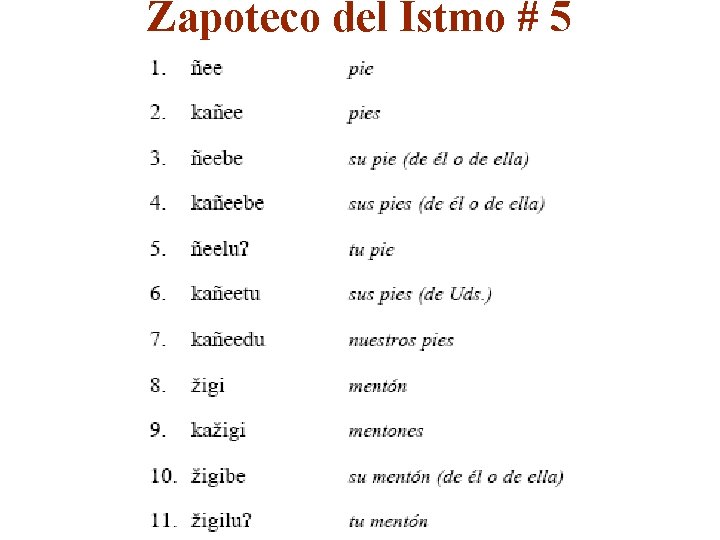 Zapoteco del Istmo # 5 