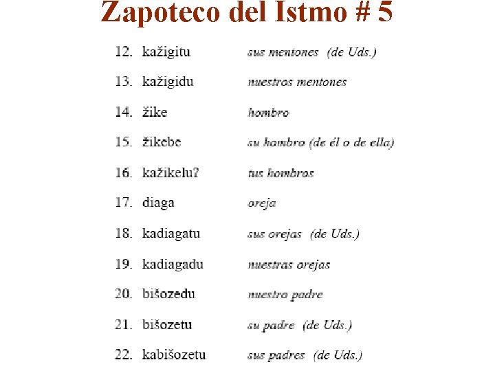 Zapoteco del Istmo # 5 