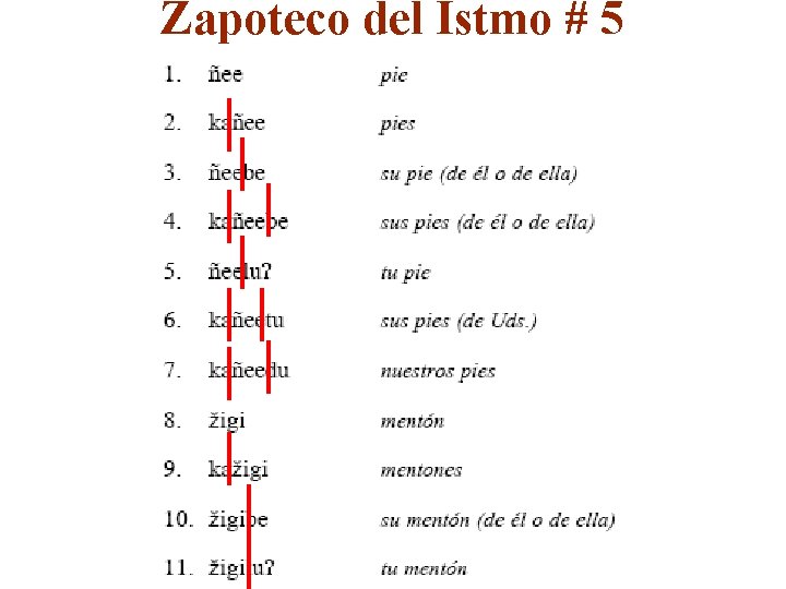 Zapoteco del Istmo # 5 