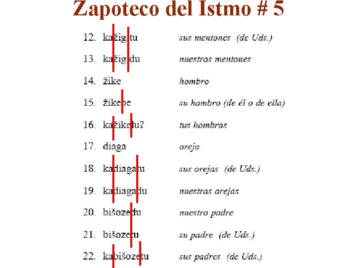 Zapoteco del Istmo # 5 