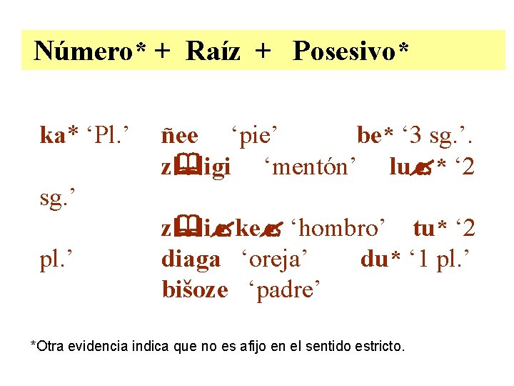 Número* + Raíz + Posesivo* ka* ‘Pl. ’ ñee ‘pie’ be* ‘ 3 sg.