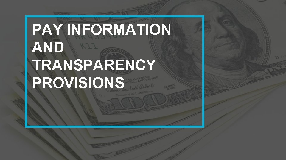 PAY INFORMATION AND TRANSPARENCY PROVISIONS 